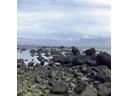Rocky beach in areas