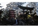 Pagoda and fountain in Japanese Tea Garden
