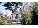 Buddha statue in Japanese Tea Garden