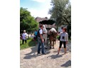 Local guide with carriage driver at Szentendre Museum