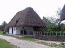 Thatched roofed houses