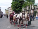 Carriage in front of St. Peter & Paul church