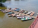 Boats for rent on the Vltava river