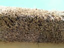 Roof edge of thatch