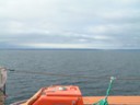 Sailing the Varangerfjorden