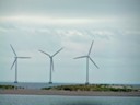 Wind farm in Copenhagen harbor