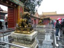 Lions Guard Entrance To Gate Of Heavenly Purity