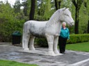 Standing Horse (Pat)
