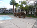 Pool area, Hotel Hacienda, Nuevo Casas Grandes