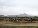 Farm, San Luis to Lima