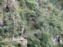 Trail up Huayna Picchu, Machu Picchu