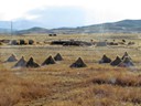 Grain fields along route to Puno