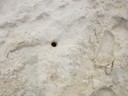 Sand Crap hole
