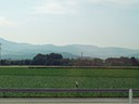 Farm near Heidelberg