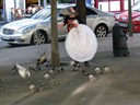 Lady feeding the birds