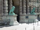 Lions by Pavillon de Flore