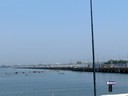 Venice Freedom Bridge