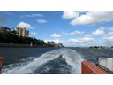 City Cat cruise on Brisbane River