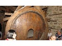 Wine barrel at Holy Monastery of Varlaam (Pat)