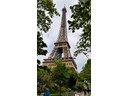 Eiffel Tower (Pat)
