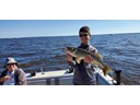 Howard and Vincent's 28 inche Walleye