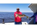 Andy's 27.5 inche Walleye