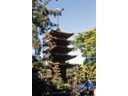 Pagoda in Japanese Tea Garden