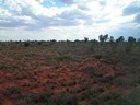 Uluru National Park Area