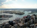Sydney Tower view