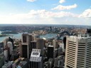 Sydney Tower view