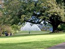 Sydney Royal Botanic Garden 