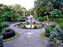 Sydney Royal Botanic Garden 