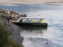 Haast River Safari Jet Boat