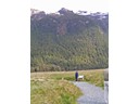 Road to Milford Sound (Pat)