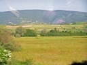 Croatian wheat fields