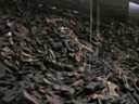 Piles of shoes were discovered by the liberators
