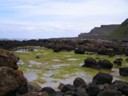 Swamps in rocky coast