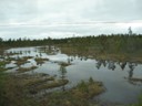 Swamps between Inari and Sevettijarvi Finland