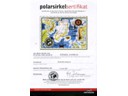 Crossing the Arctic Circle Certificate (Pat)