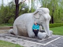 Crouching Elephant (Pat)