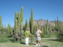 Paradiso Resort Cactus Garden, San Carlos (Pat & Howard)