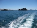 Scenic Cruise on Sea of Cortez