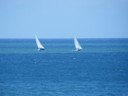 Sail Boats