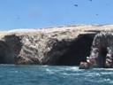 Thousands of birds, Ballestas Islands, Paracas
