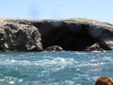 Sea Lions, Ballestas Islands, Paracas