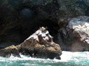 Sea Lions, Ballestas Islands, Paracas