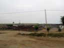 Livestock Farm along route to Paracas