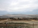 Cattle farm, San Luis to Lima