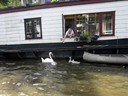 Canal cruise, Amsterdam
