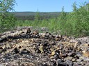 Gold Mine Tailings at Discovery Claim